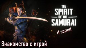 The Spirit of the Samurai. Знакомство с игрой.