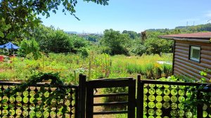 Наше Гадюкино