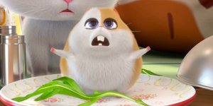 Корги по имени Моко. Домашние животные 2, 71 серия. Онлайн-диагноз
