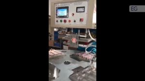 Станок для запайки блистерной упаковки CH-12KW-ZDYP