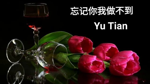 Wang Ji Ni Wo Zuo Bu Dao 忘记你我做不到 -Yu Tian ( inti terjemahan &  lirik di description)