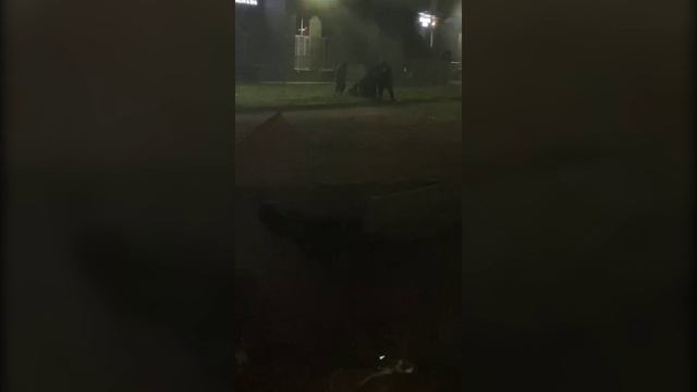 Деятельность преступников