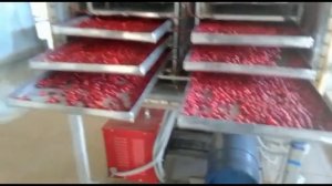 Сублимационные сушильные шкафы | Сушка фруктов, ягод