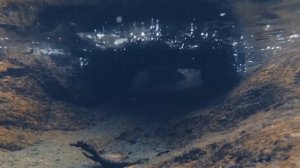 1/8 Scale Rc Traction Hobby Tank 300 - Rc Crawler 4x4 Rc Car / E3S-RC