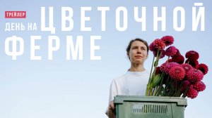 Один день на цветочной ферме. Трейлер
