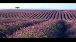 Microsoft Windows 7 Wallpapers from Retail Version in HD
