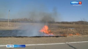 Денежное вознаграждение предлагают в ЕАО за сообщения о поджигателях