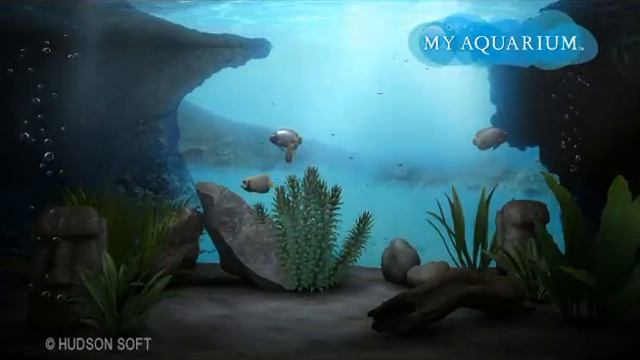 My Aquarium смотреть онлайн