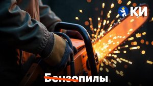 Электрическая цепная пила