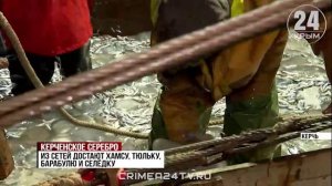 В Крыму стартовал сезон хамсы. С какой добычей возвращаются керченские рыбаки?