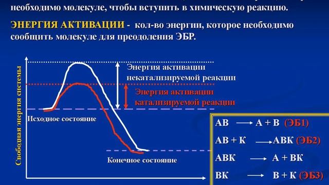 Зависимость скорости химической реакции от температуры