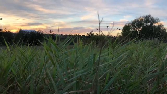 iPhone 8 Plus 4K 24fps   Raw footage test and low light PHONE CALL