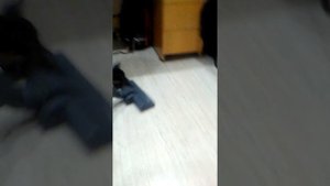 Бешаная собака  Бентли#2