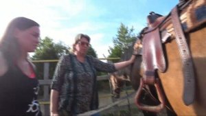 Интересно об особенностях вестерн седла!