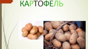 Презентация для детей по Доману. Овощи и фрукты, ягоды