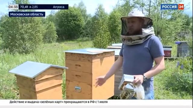 Небольшой репортаж про нашу пасеку на телеканале Россия 24