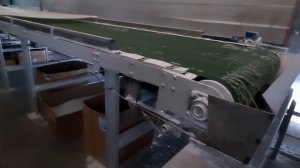 Ленточные конвейеры ООО  Рекона в работе.