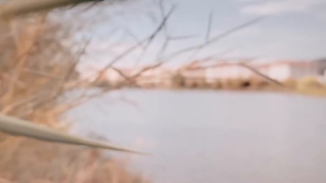 Красивое видео на iPhone 11 смотреть онлайн