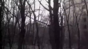 Припять нелегальный поход с мутантами в Припяте жесть!