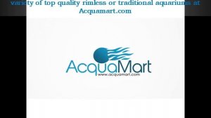 Best Aquarium Brands