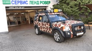 Ленд Ровер Дискавери Жираф-трофи