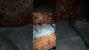 маз зубренок со спалкой Продаю.