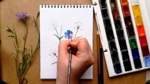 КАК НАРИСОВАТЬ ВАСИЛЬКИ В СКЕТЧБУКЕ АКВАРЕЛЬЮ | ЛЕГКИЙ РИСУНОК ДЛЯ НАЧИНАЮЩИХ