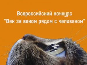 Мой сибирский кот Зевс