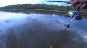 Дикарем на Ахтубе или как поймать 7 видов рыб (часть1)