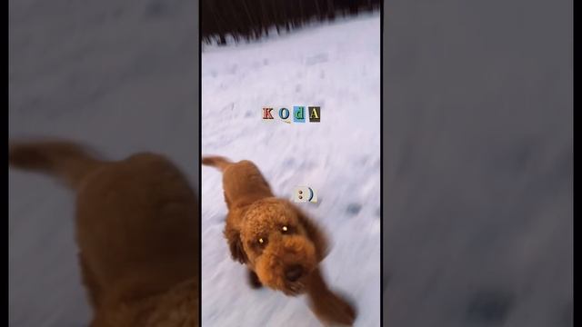 Song creds; Mac Demarco “No Other Heart” This is me смотреть онлайн