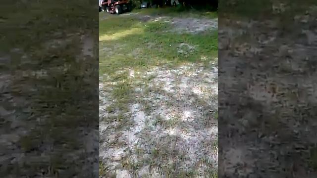 Small update on the chickens and there coupe смотреть онлайн