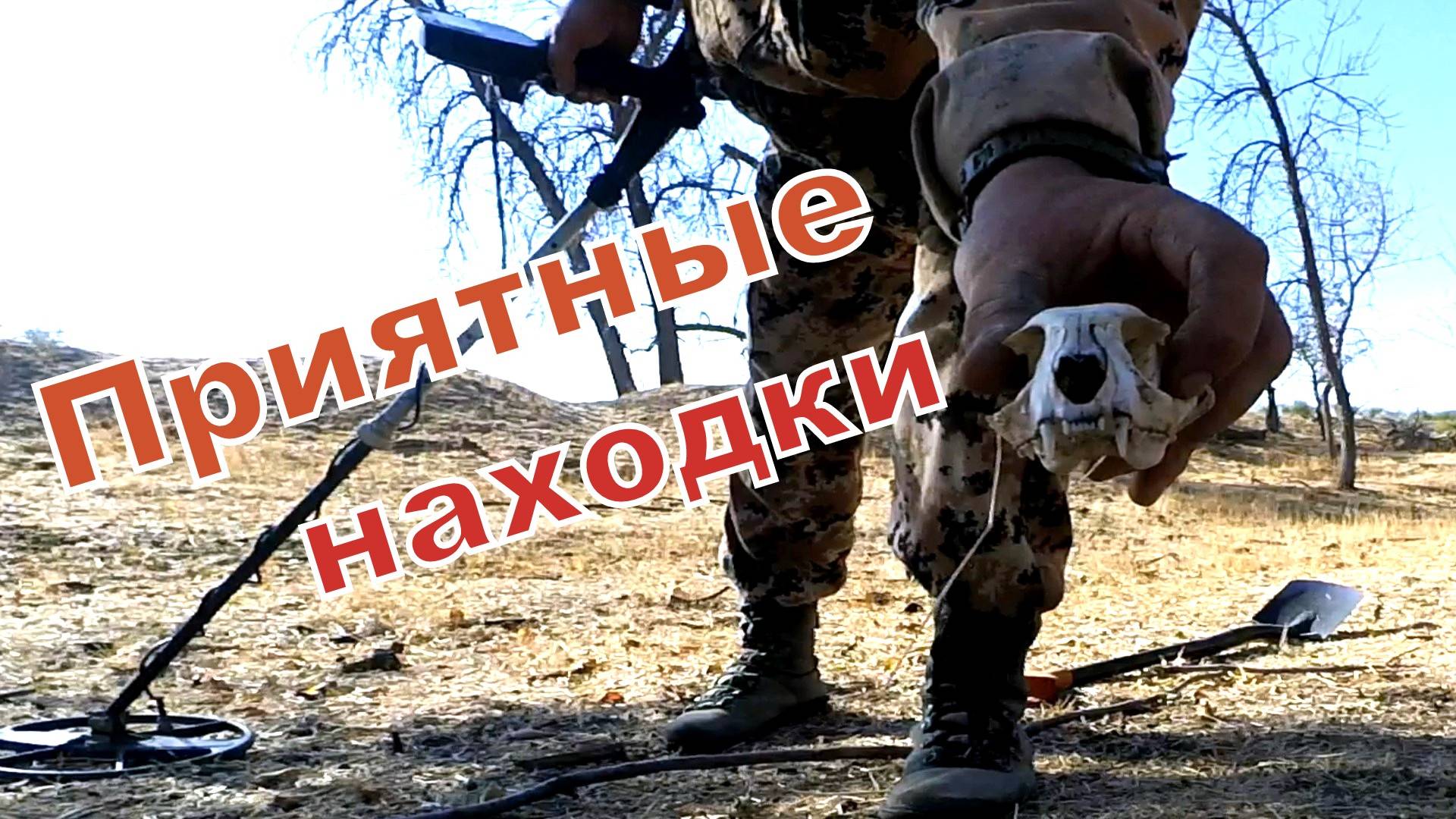 Интересные находки: топор, молоток, колечко, монеты и ...череп... смотреть онлайн