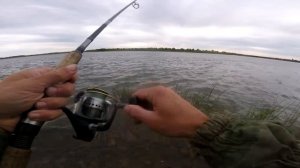 БЕРЕГОВОЙ ДЖИГ/ ОТВОДНОЙ ПОВОДОК/ трофейные экземпляры