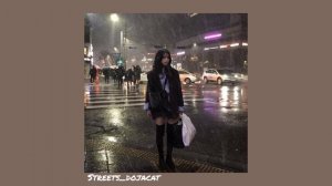 streets _ doja cat (speed up)🎧💗