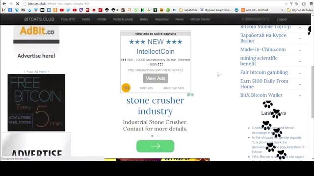 Bitcats - сайт для заработка биткоинов смотреть онлайн