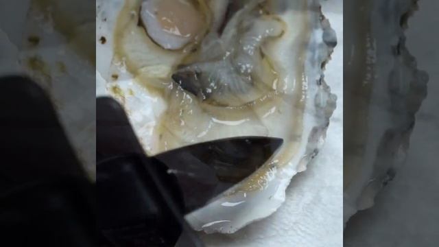 Как открыть устрицу | Готовим вместе - Деликатеска.ру