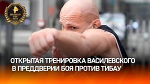 Василевский надеется победить бразильца Тибау за счет "русской школы бокса"