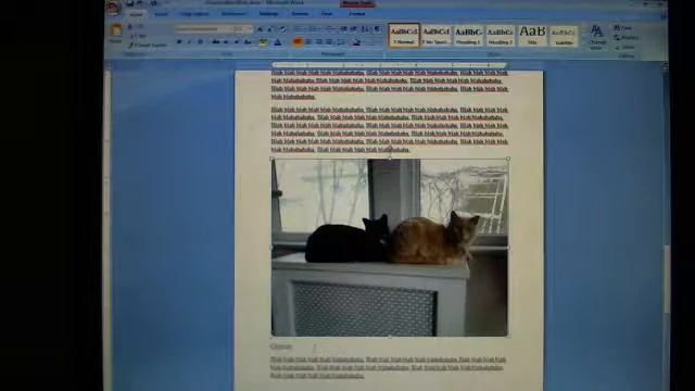 Put photos into a Microsoft Word doc and type the citation under it смотреть онлайн