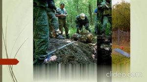 Белые журавли
