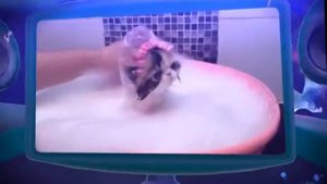 Уникальная игрушка Ферби