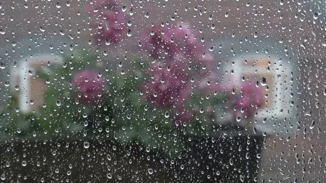 rain against my window pane смотреть онлайн