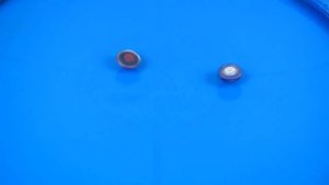 ВАЙС ЛЕОПАРД vs АДСКАЯ САЛАМАНДРА / Бейблэйд / Beyblade