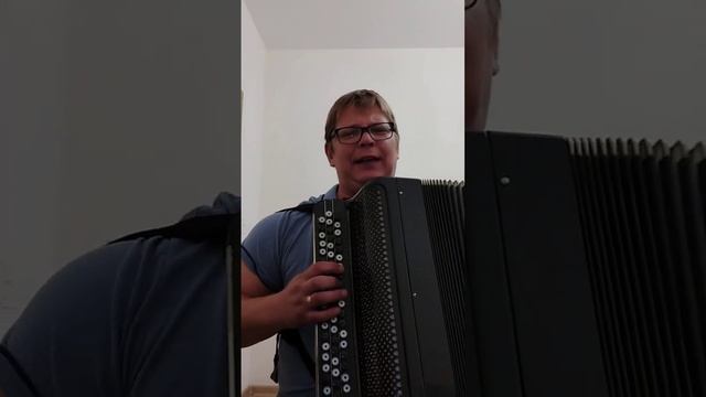 Ария на баяне "Возьми моё сердце
