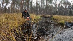 ИЗБЫ РЕМОНТ. ОСЕНЬ ПОЗДНЯЯ.