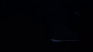 Erotyk/Erotica WSF 2023 | reż Anastasiia Suslovets