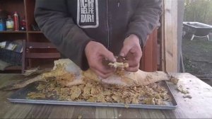 Часть 2. Очистка гуся от пера натуральным твердым воском подсолнечника «НИ ПУХА НИ ПЕРА»