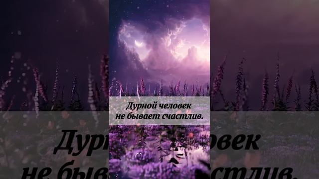 Крылатая латынь. Знаки тут