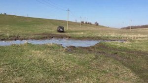 Нива Бронто