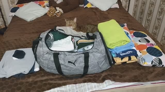 ВСЯ ПРАВДА О НЕЙ! ПУСТЬ ВСЕ ЗНАЮТ! Про нас забыли, ответ зеркальный! Собираем вещи!