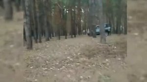 Покатухи по лесу на ниве/уваз